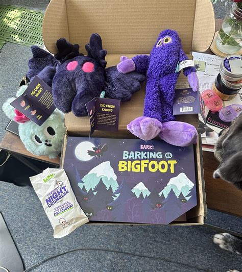 barkbox this month